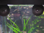 IMG_1550.JPG