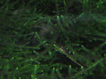 IMG_1559.JPG