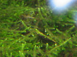 IMG_1558.JPG
