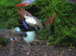 IMG_1561.JPG
