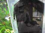 IMG_1556.JPG