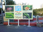 NEC_0207.JPG