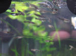 IMG_1595.JPG