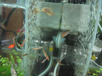 IMG_1689.JPG