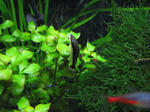 IMG_1676.JPG