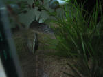 IMG_1736.JPG