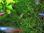 IMG_1742.JPG