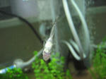 IMG_1750.JPG