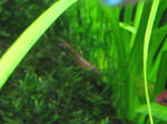 IMG_1753.JPG