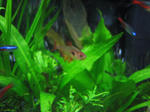 IMG_1774.JPG