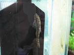 IMG_1777.JPG