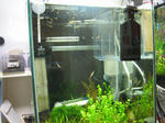 IMG_1792.JPG