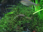 IMG_1812.JPG