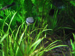 IMG_1818.JPG