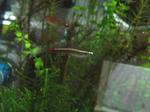 IMG_1857.JPG