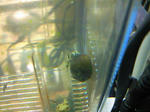 NEC_0038.JPG