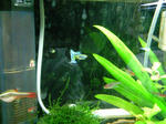NEC_0083.JPG