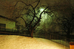 雪1