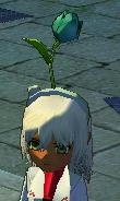 mabinogi_2010_02_04_001.JPG