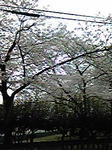 100401_1219_01.jpg