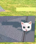 mabinogi_2010_06_27_002.JPG