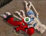 mabinogi_2010_09_18_001.JPG