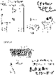 070801.gif