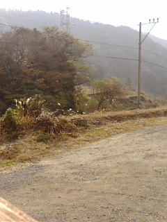 20081203141219.jpg