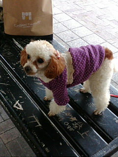 20090211130221.jpg