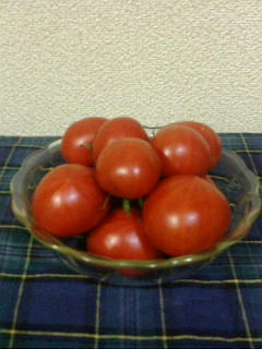 20090215193955.jpg
