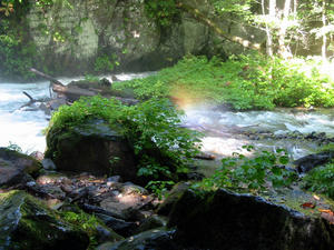b4311659.jpg