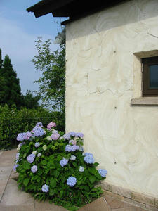 a0115b82.jpg