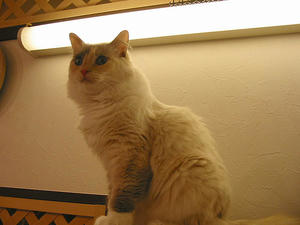 c50e9e95.jpg