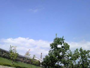 a541abcf.jpg