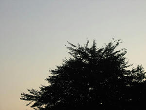 4b565a41.jpg