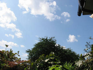 a026b0b5.jpg