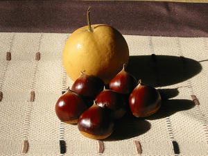 6758e8d9.jpg