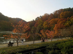 5f5e7183.jpg