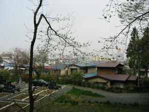 o0800060010568960127.jpg