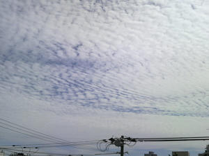 o0800060010769536723.jpg