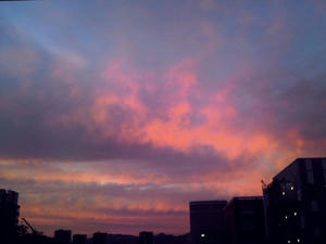 201010161729sorare.jpg