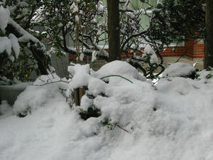 o0800060010957356357.jpg