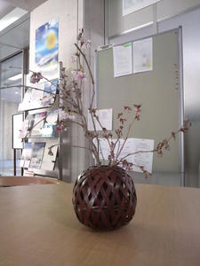 2011040511550000.jpg