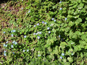 2011040711300001.jpg
