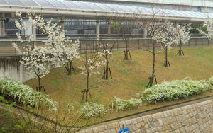 DSCN0923.JPG