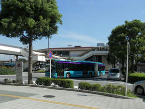 DSCN1654.jpg