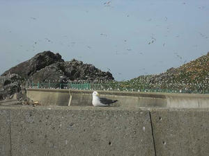 DSCN3209.jpg