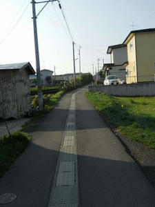 DSCN3295.jpg