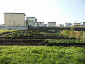 DSCN3296.jpg