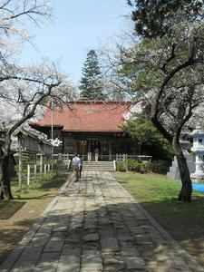 DSCN3177.jpg